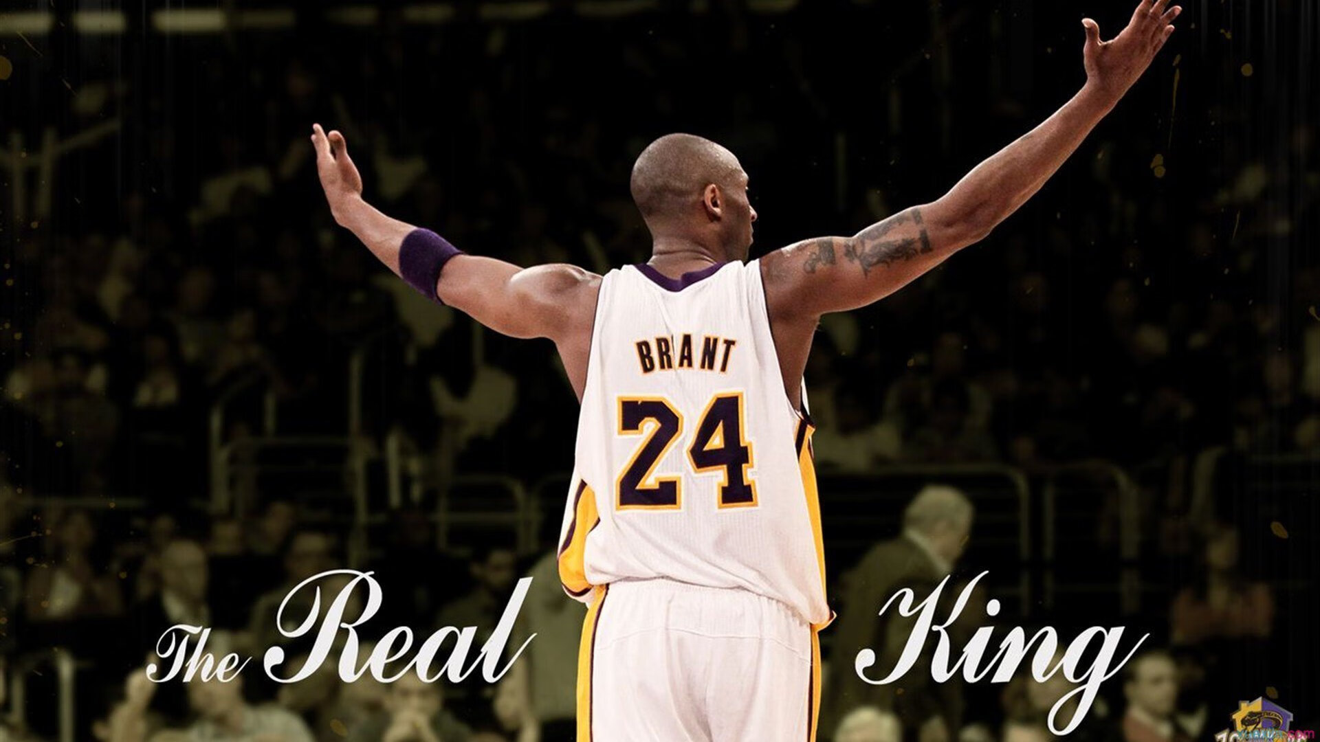 _全球网球联盟:推动运动普及的新动力_,全球网球比赛