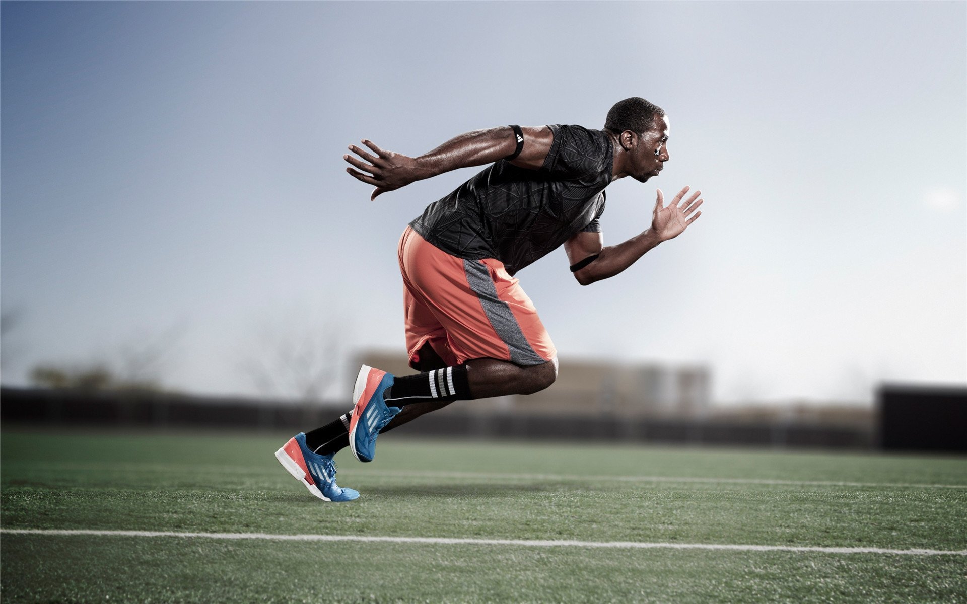 _运动员简介：从新秀到传奇的奋斗历程_，运动员介绍