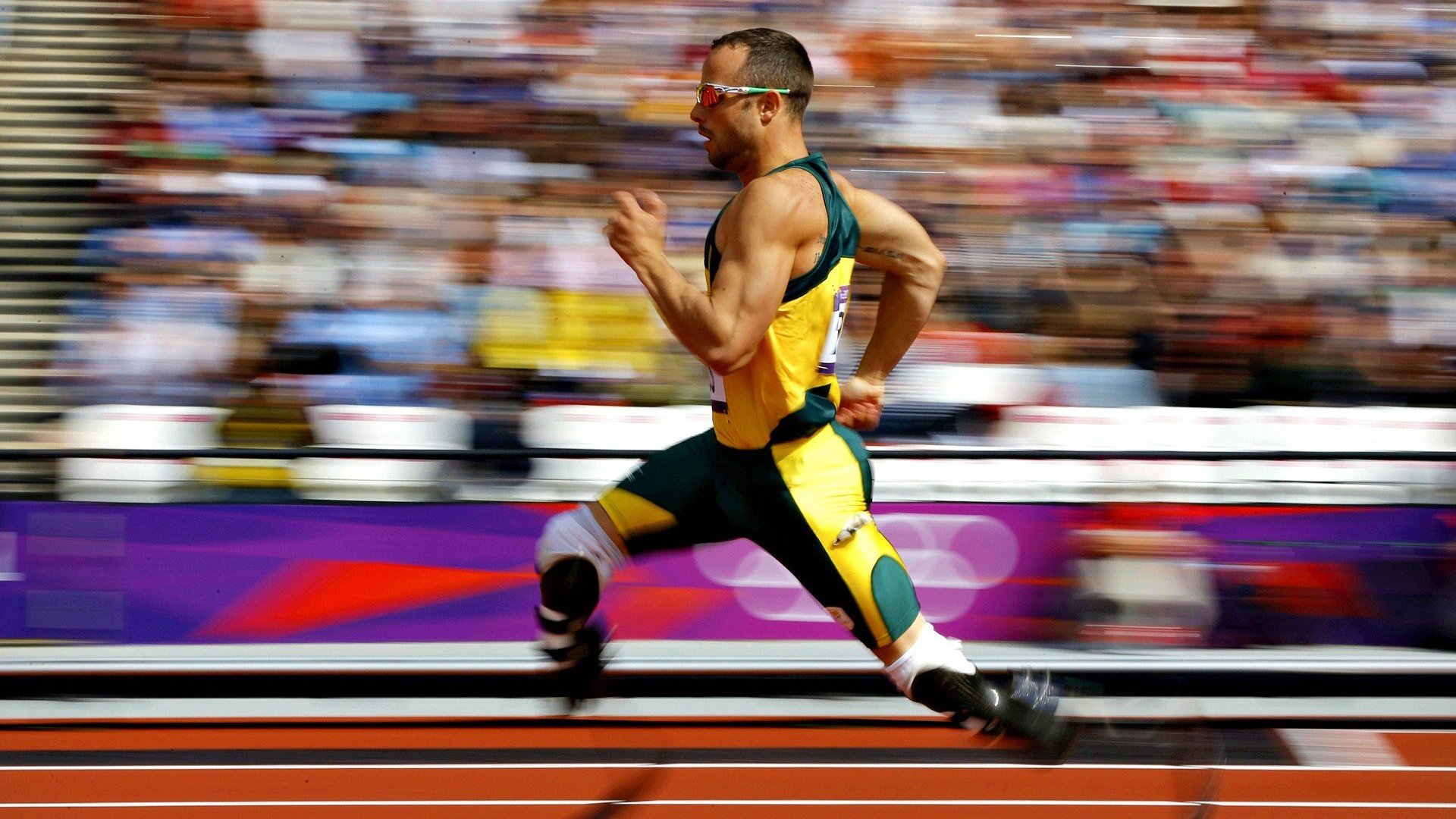 西班牙成功举办国际马术科技论坛，汇聚全球专家探讨马术未来发展。